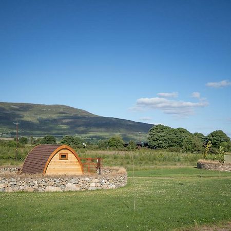 Hotel Bluebell Lane Glamping Newry Exterior foto