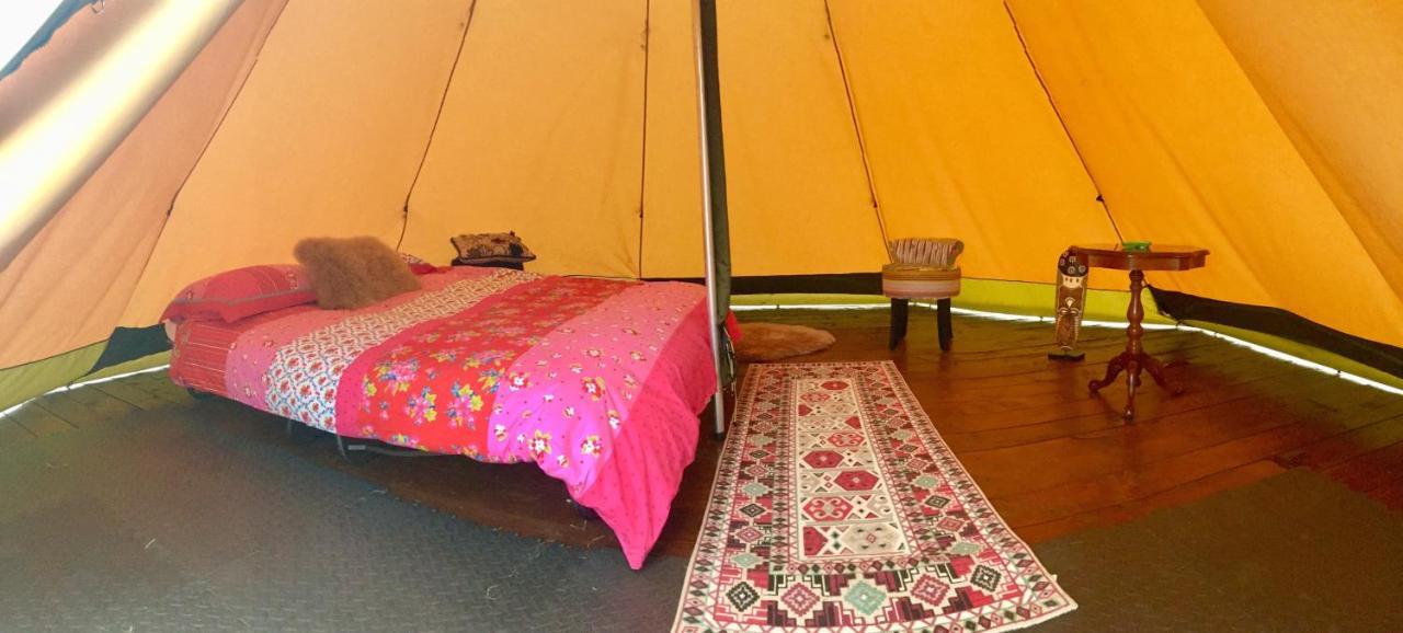 Hotel Bluebell Lane Glamping Newry Exterior foto