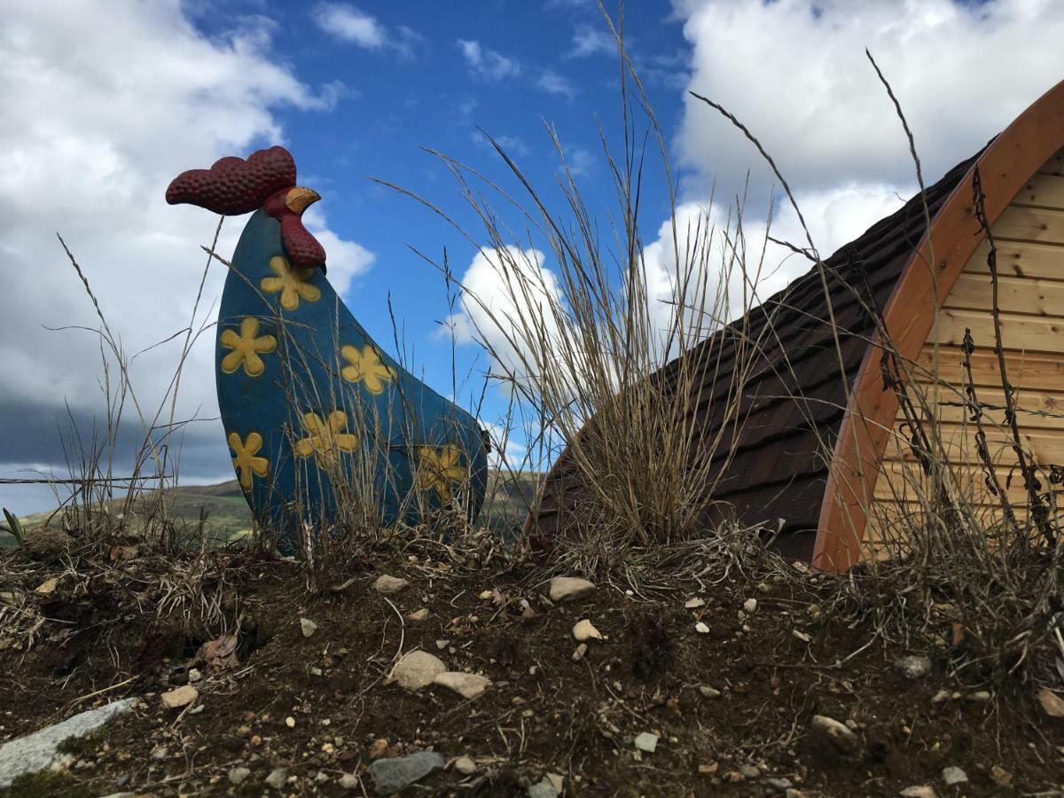 Hotel Bluebell Lane Glamping Newry Exterior foto