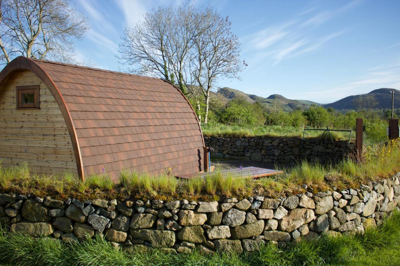 Hotel Bluebell Lane Glamping Newry Exterior foto