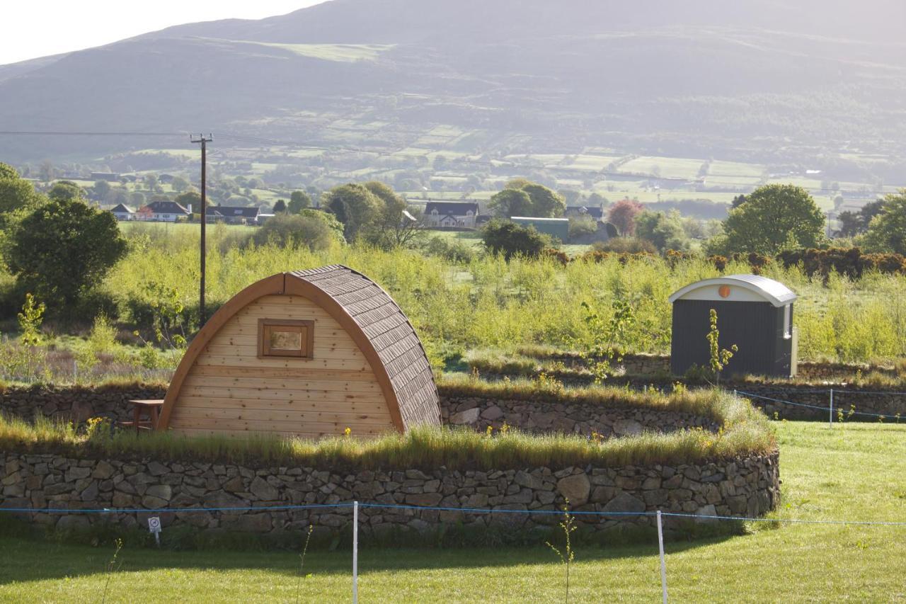 Hotel Bluebell Lane Glamping Newry Exterior foto