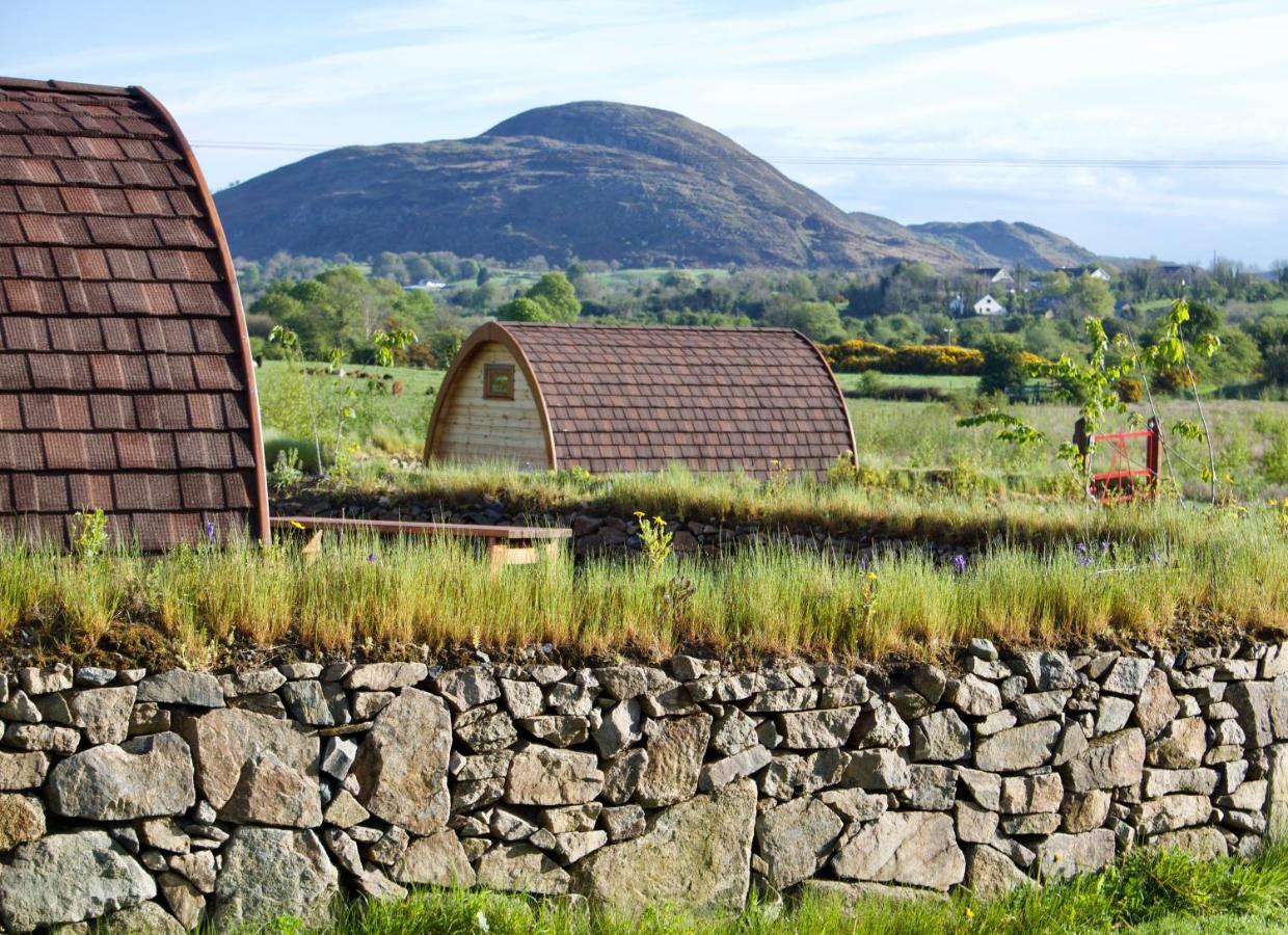 Hotel Bluebell Lane Glamping Newry Exterior foto